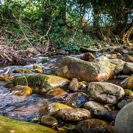 Rincon Del Duende * San Martin (Asturias)
